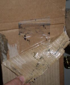 iDesign Cameo Metal Large Expandable Constant Tension Shower Rod, Bathroom Curtain Pole for Master, Guest, Kids' Bathroom, Adjustable from 50"-87", White,78672 50"-87" 23 71GhUZFcbPL