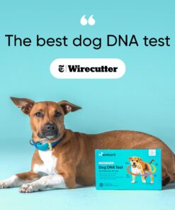 Embark Breed & Health Kit - Dog DNA Test - Discover Breed, Ancestry, Relative Finder, Genetic Health, Traits, COI 1 Count (Pack of 1) 33 71GiGqUInKL 3
