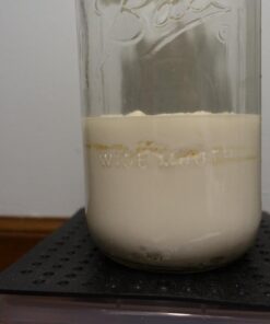 Fusion Teas 1 TBSP Organic Milk Kefir Grains and ebook “Milk Kefir Unleashed by Thomas Egbert” - Fresh Live Active Probiotic Starter Cultures 53 71GpGBOJPGL