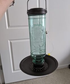 More Birds Songbird Vintage Bird Feeder, Sunflower and Thistle Feeder, 4 Feeding Ports, 1.5 lb Seed Capacity Vintage Glass 22 71Gpfb60FsL