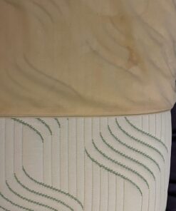 Premium BED Bugs Pillow Protector a Set of 2 Pillow Protectors (Queen (21"x"28)) Queen (21"x"28) 16 71GpyRRMHoL