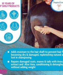 EQyss Avocado Mist Conditioner Spray 32 oz 32 Ounce 8 71GrUsxHDNL