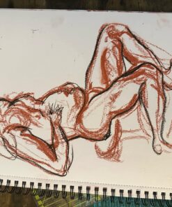 Amazon Basics Sketch and Drawing Art Pencil Kit, 17 Piece Set, Charcoal, Black, White 24 71GsHF6iTrL