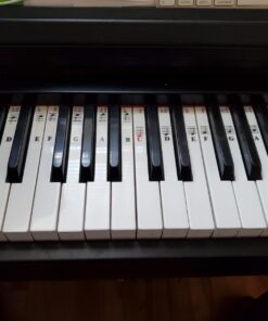 QMG Piano Stickers for 49/61/ 76/88 Key Keyboards – Transparent and Removable; Made in USA Sticker 37 71Gsl0lRvZL