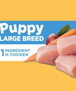 IAMS Smart Puppy Large Breed Dry Dog Food with Real Chicken, 30.6 lb. Bag 30.6 Pound (Pack of 1) 30 71Gt5DenW L