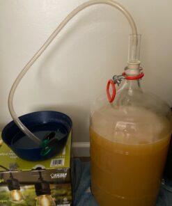 Lalvin EC-1118 Saccharomyces bayanus (10 Packs) 0.17 Ounce (Pack of 10) 13 71GwG6yKDoL