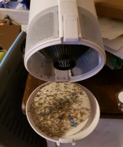 Katchy Indoor Insect Trap - Catcher & Killer for Mosquitos, Gnats, Moths, Fruit Flies - Non-Zapper Traps for Inside Your Home - Catch Insects Indoors with Suction, Bug Light & Sticky Glue (White) Original White 38 71Gy8u8QgQL