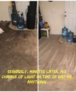 Carpet Miracle - Carpet Cleaner Shampoo Solution for Machine Use, Deep Stain Remover and Odor Deodorizing Formula, Use On Rug Car Upholstery and Carpets (32FL OZ) Spring Mint Scent 32 Fl Oz (Pack of 1) 45 71H ZfL5KrL