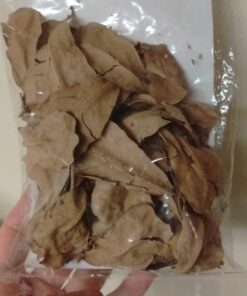 SunGrow 50 pcs Catappa Indian Almond Leaves for Betta Fish Tank Aquarium, 2” Water Conditioner Leaves, Leaf Also Suitable for Shrimp, Goldfish, Guppy and Frogs 50 Leaves 44 71H2DuXmqgL