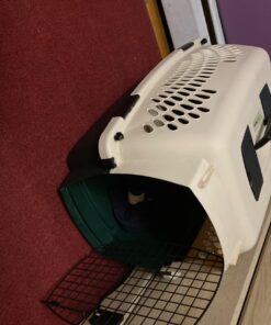 Petmate Ruffmaxx Travel Carrier Outdoor Dog Kennel, 360-degree Ventilation, 26", Green, Made in USA Almond & Green 26.0"L x 18.5"W x 16.0"H 39 71H3go4ZkjL