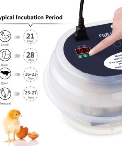 HBlife Digital Egg Incubator for Hatching 9-12 Chicken, Quail and Duck Eggs, with Fully Automatic Egg Turning and Temperature Display, Hatcher for Turkeys, Birds, Parrots and Poultry 34 71H729jUVCL