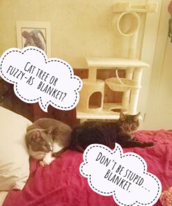 Sunbeam Royal Luxe Cabernet Heated Personal Throw / Blanket, Cozy-Warm, Adjustable Heat Settings 27 71H7G9pVTcL