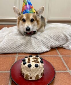 Fat Daddio's Anodized Aluminum Round Cake Pans, 2 Piece Set, 4 x 2 Inch 4 x 2 Inch, Set of 2 Sets 19 71H9GuDqh8L