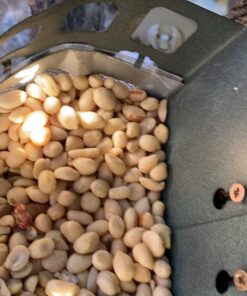 Woodlink Squirrel Diner Feeder Model 75590 beige 31 71H9uPN882L