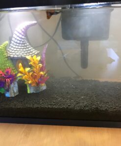 CaribSea Eco-Complete 20-Pound Planted Aquarium, Black 20 POUNDS 28 71HAjHCHfUL