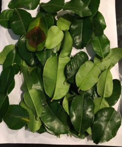 Fresh Kaffir Lime Leaves (Thai Lime Leaves) 1 Oz. ใบมะกรูด, 27 71HBh05qC5L