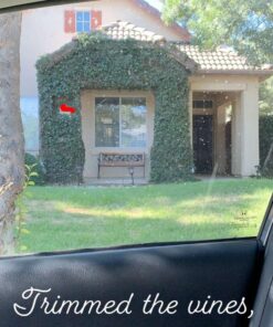 Makita XHU02Z 18V LXT® Lithium-Ion Cordless 22" Hedge Trimmer, Tool Only 27 71HDXL7cf2L