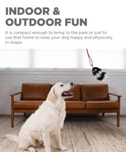 Outward Hound Tail Teaser Durable Dog Wand with Soft Plush Toys 21 71HHPuGgpgL