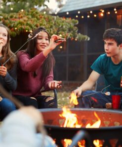 Tapirus Marshmallow Roasting Sticks | Set of 4 Extra Long Retractable Campfire Sticks | Protect Kids with Insulated Handles | Extendable Smore & Hot Dog Skewers | Heavy Duty Metal Camping Accessory 37 71HIcOqjNL