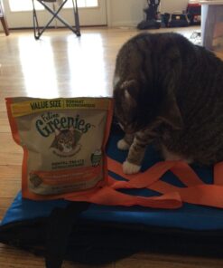 FELINE GREENIES Natural Dental Care Cat Treats Oven Roasted Chicken Flavor, 5.5 oz. Pack 33 71HM6MSlaaL