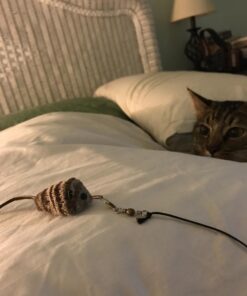 Go Cat Refill - Cat Catcher Mouse Toy Accessory Single 1 Mouse 19 71HMKjQYHGL