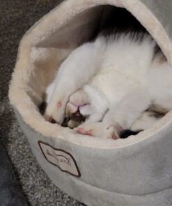 Zen Clipper Pet Nail Clipper for Cats – Cat Nail Clipper for Safer Cat Grooming and Nail Care - Clean, Quiet, and Easy-to-Use Stainless Steel Cat Claw Trimmer - (2.5mm Hole) Small - 2.5mm hole 34 71HMnQuCZNL