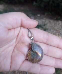 JOYA GIFT Charm Handmade Natural Conch Fossil Ammonite By Silver Wrapped Pendant Necklace (1 PCE). 50 71HRL7q0rqL