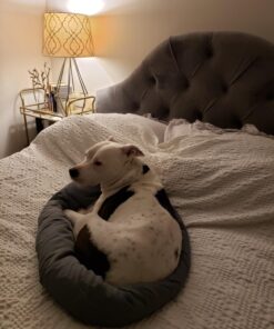 Huzi Infinity Pillow - Home Travel Soft Neck Scarf Support Sleep Grey 45 71HSAk1vf L