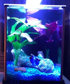 Fluval SPEC Freshwater Aquarium Kit, Aquarium with LED Lighting and 3-Stage Filtration, 2.6 Gallon, Black, Large Breeds 2.6 Gal. 62 71HSgnT2HZL