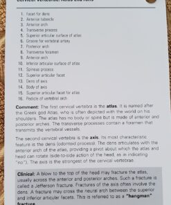 Netter's Anatomy Flash Cards (Netter Basic Science) 26 71HUxjwGQHL