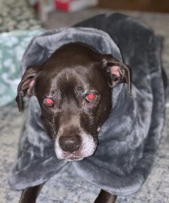 RENPHO Weighted Heating Pad for Back Pain Relief, FSA HSA Eligible, Electric Heat Pads for Neck and Shoulders, Fast-Heating, Auto Shut Off, Christmas Gifts for Women Men Mom Dad, ETL Certified, Gray A-gray-24"x33'' 39 71HVz56P2lL