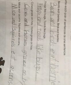 Spectrum Language Arts, Grade 1 Paperback 31 71HYbaoBhgL