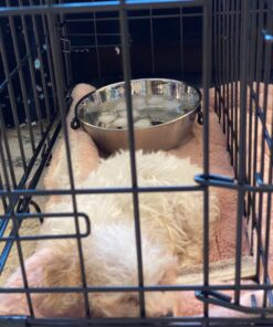 MidWest Homes for Pets Snap'y Fit Food Bowl | Pet Bowl, 20 oz. (2.5 cups) | Dog Bowl Easily Affixes to a Metal Dog Crate, Cat Cage or Bird Cage | Pet Bowl Measures 6L x 6W x 2H Inches,Silver 20 Ounces (2.5 cups) 31 71HbCySnuLL