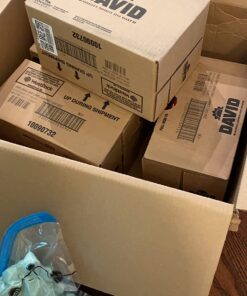 DAVID Seeds Original Salted and Roasted Jumbo Sunflower Seeds, Keto Friendly Snack, 5.25 OZ Bags, 12 Pack 5.25 Ounce (Pack of 12) 28 71Hd1JvQSL