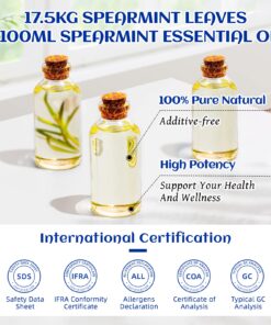HIQILI Spearmint Essential Oil,100% Pure Natural - for Diffuser,Candle Making DIY - 3.38 Fl Oz. 3.38 Fl Oz (Pack of 1) 12 71HdUeMebsL
