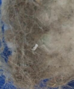 Swiffer Sweeper Heavy Duty Mop Pad Refills for Floor Mopping and Cleaning, All Purpose Multi Surface Floor Cleaning Product, 20 Count, 2 Pack Heavy Duty (20 Regular) 38 71HgxepzIaL