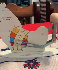 The Incredible Egg Scale 1 27 71Hl6tcA9YL