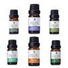 Pursonic 100% Pure Essential Aromatherapy Oils Gift Set-6 Pack , 10ML(Eucalyptus, Lavender, Lemon grass, Orange, Peppermint, Tea Tree) Pure Essential Oils Set 23 71HleyFIsAL