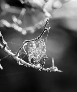 Nikon D5300 24.2 MP CMOS Digital SLR Camera with 18-55mm f/3.5-5.6G ED VR Auto Focus-S DX NIKKOR Zoom Lens (Black) 60 71HmePiYKTL