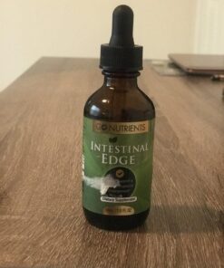 Go Nutrients Intestinal Edge Gut Detox Cleanse for Humans: Enhance Digestive Health, Boost Energy, Clear Skin with Black Walnut, Wormwood, Clove & Gentian Root for Adults & Kids 2oz Liquid Drops 31 71Hn 7E7Z2L