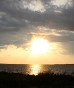 Sigma 150-600mm f/5-6.3 DG OS HSM Contemporary Lens for Canon EF Bundle Includes Manufacturer Accessories + 72 inch Monopod with Quick Release + UV Filter + Lens Pen + Microfiber Cleaning Cloth 28 71HnLv3lQML