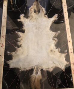 Knoblochs Deer Hunter's & Trapper's Hide & Fur Tanning Formula Multi Pack 1 23 71HnOZfLQnL