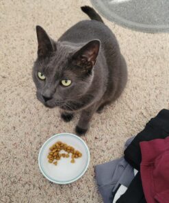 Hill's Science Diet Dry Cat Food, Light Adult, Hairball Control, Light for Healthy Weight & Weight Management, Chicken Recipe, 15.5 lb. Bag 15.5 Pound (Pack of 1) 27 71Hncsp88L 1