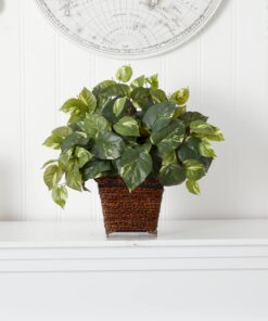 Nearly Natural 6704 Pothos with Coiled Rope Decorative Silk Plant, Green 17 11 71HoZKwaK2L