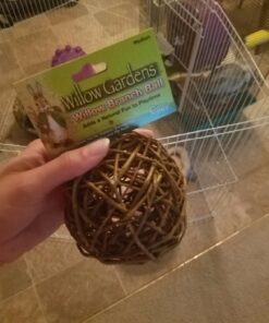 Ware Manufacturing Willow Branch Ball for Small Animals - 4-inch 1-Pack 25 71Hpw5InaDL