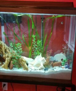 Seachem 20111 Neutral Regulator, 500g/1 lb 13 71HsR3Put8L