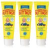 Boudreaux's Boudreaux's Butt Paste, Diaper Rash Ointment, Tube 4 oz (Quantity of 3) 4 Ounce (Pack of 3) 50 71Htp3N8XOS
