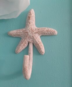 Park Designs Starfish Single Hook 27 71Htx1Y8Q7L
