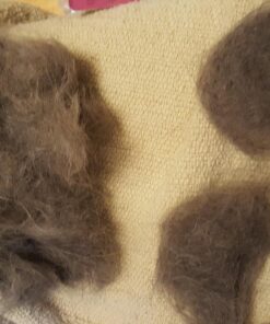 Pet Grooming Dog & Cat Brush For Shedding, Effective for Long & Short Hair Pet Grooming Tool, Reduces Dogs and Cats Shedding Hair By More Than 95%, The Professional Deshedding Tool 35 71HuZo03fGL