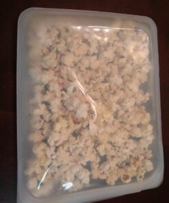 Stasher Reusable Silicone Storage Bag, Food Storage Container, Microwave and Dishwasher Safe, Leak-free, Sandwich, Clear Single 49 71HvtZUPiOL